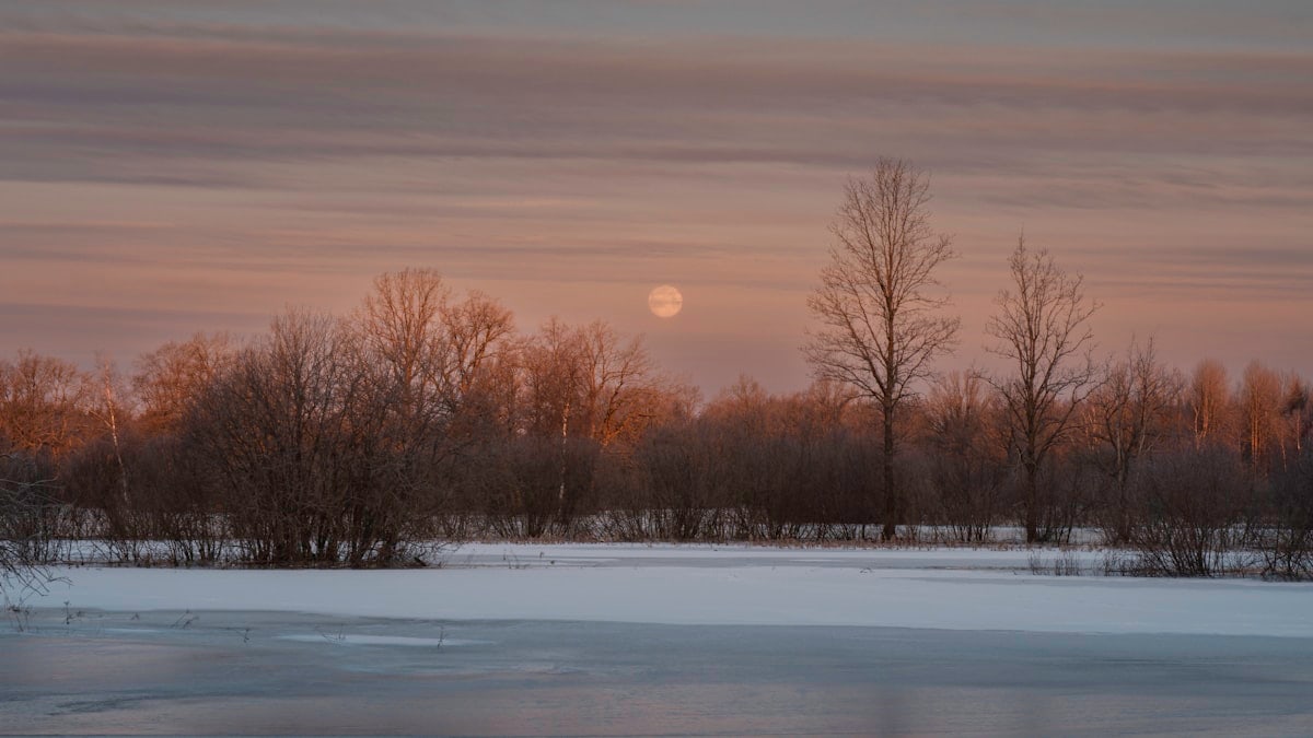 Winter landscape at sunrise with a full moon.